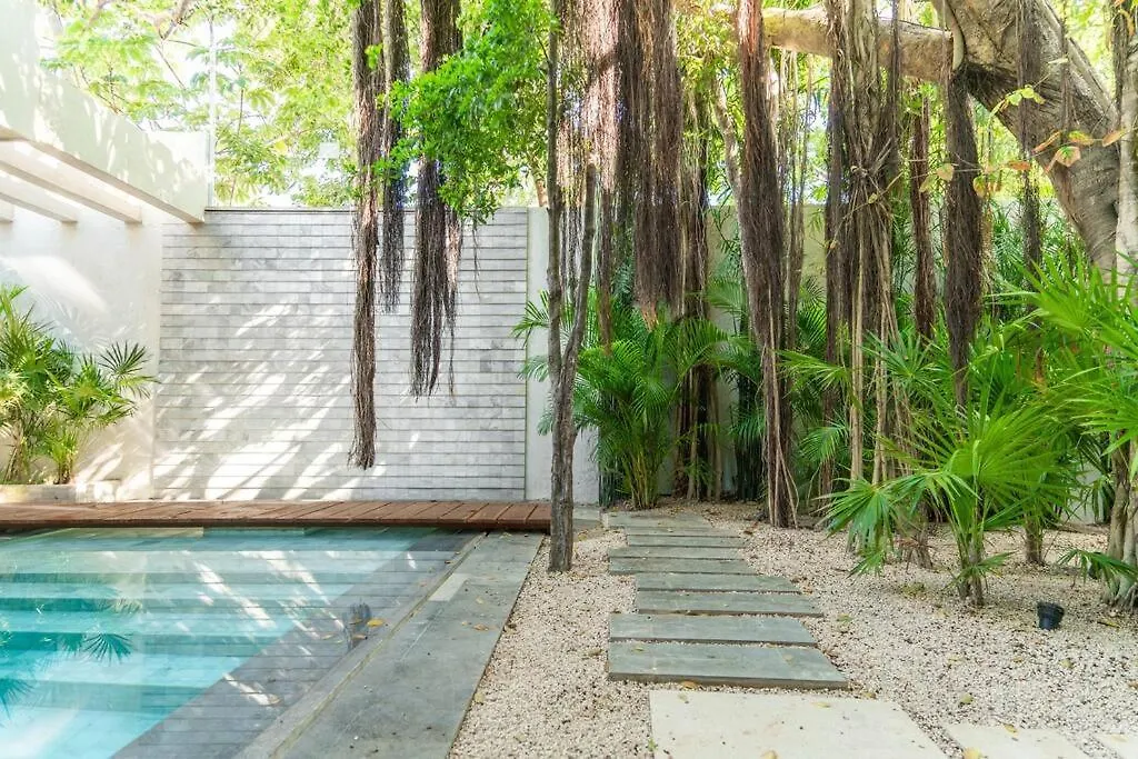 Enjoy Nature At Villa With 100 Year Old Tree, Private Pool & Concierge Service Tulum México