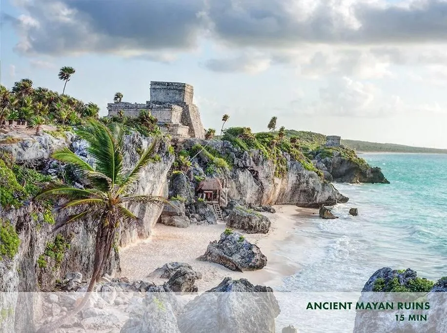 Enjoy Nature At Villa With 100 Year Old Tree, Private Pool & Concierge Service Tulum México