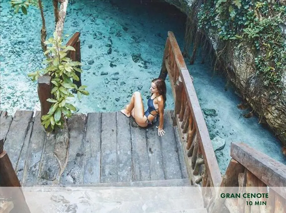 Enjoy Nature At Villa With 100 Year Old Tree, Private Pool & Concierge Service Tulum