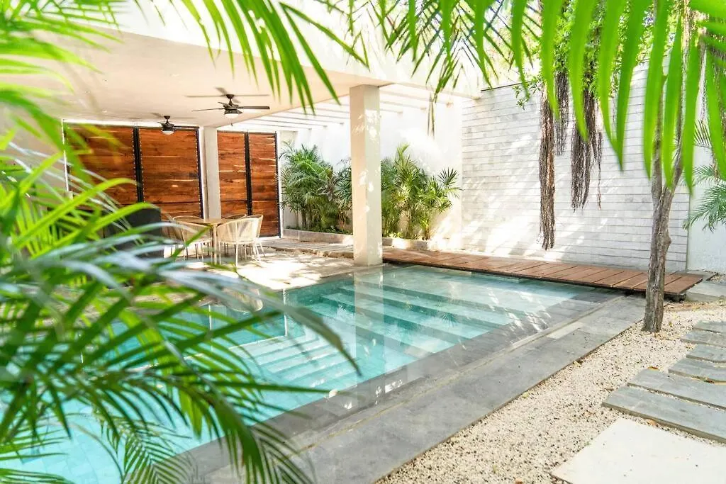 Enjoy Nature At Villa With 100 Year Old Tree, Private Pool & Concierge Service Tulum