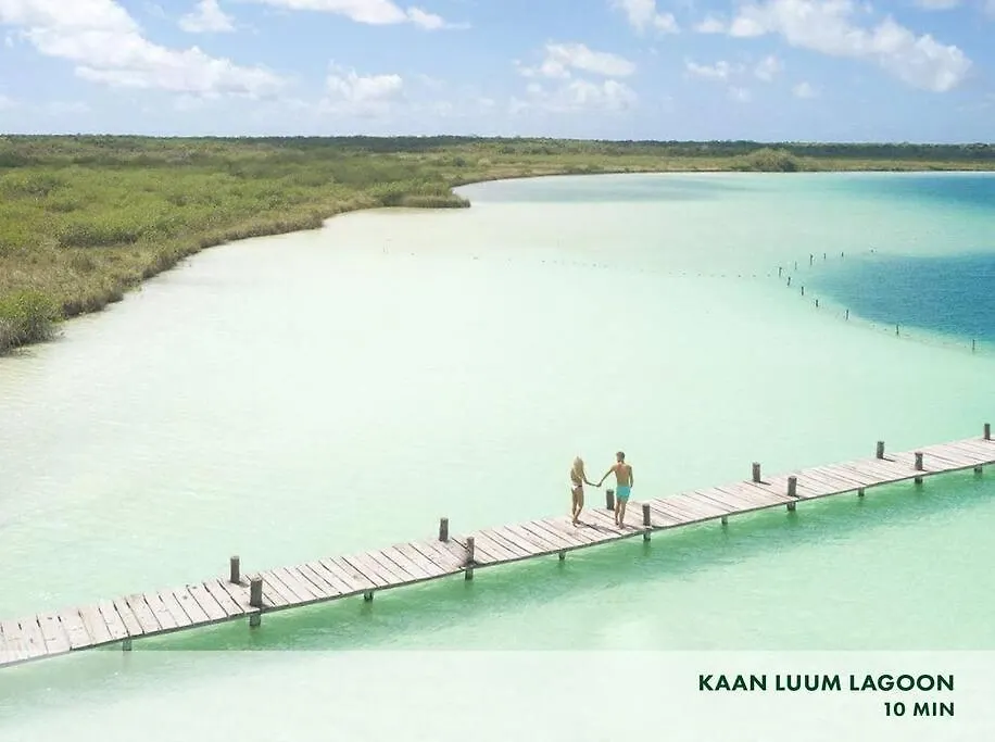 Enjoy Nature At Villa With 100 Year Old Tree, Private Pool & Concierge Service 0*, Tulum Mexico