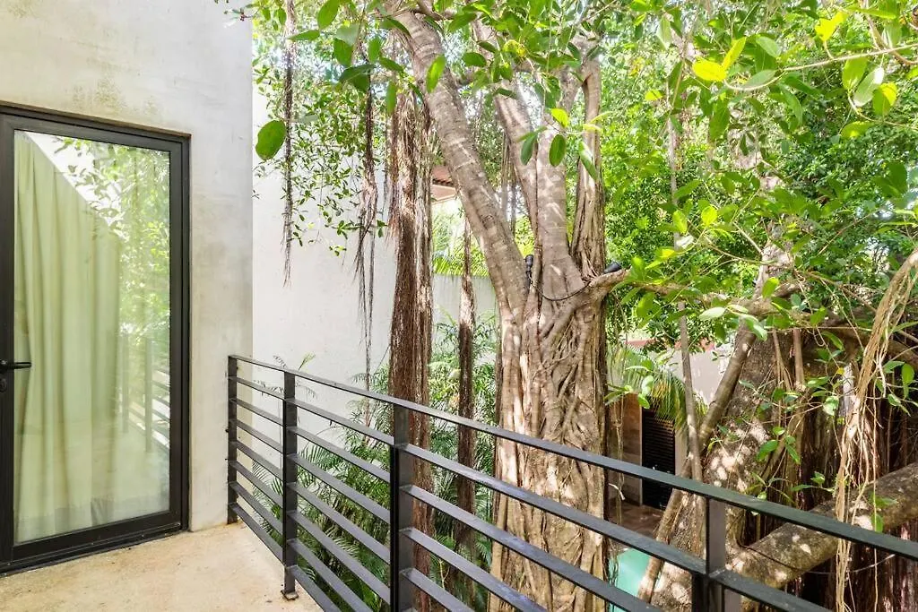 Enjoy Nature At Villa With 100 Year Old Tree, Private Pool & Concierge Service